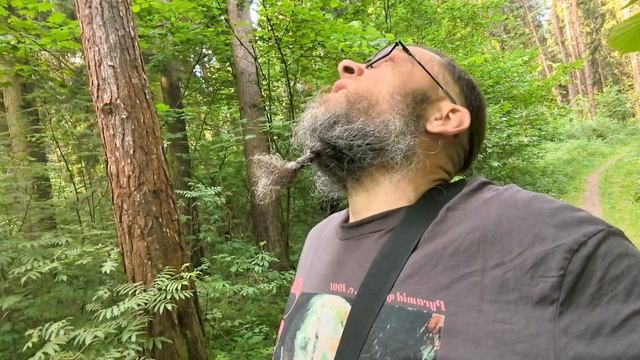 Катастрофически не хватает времени.