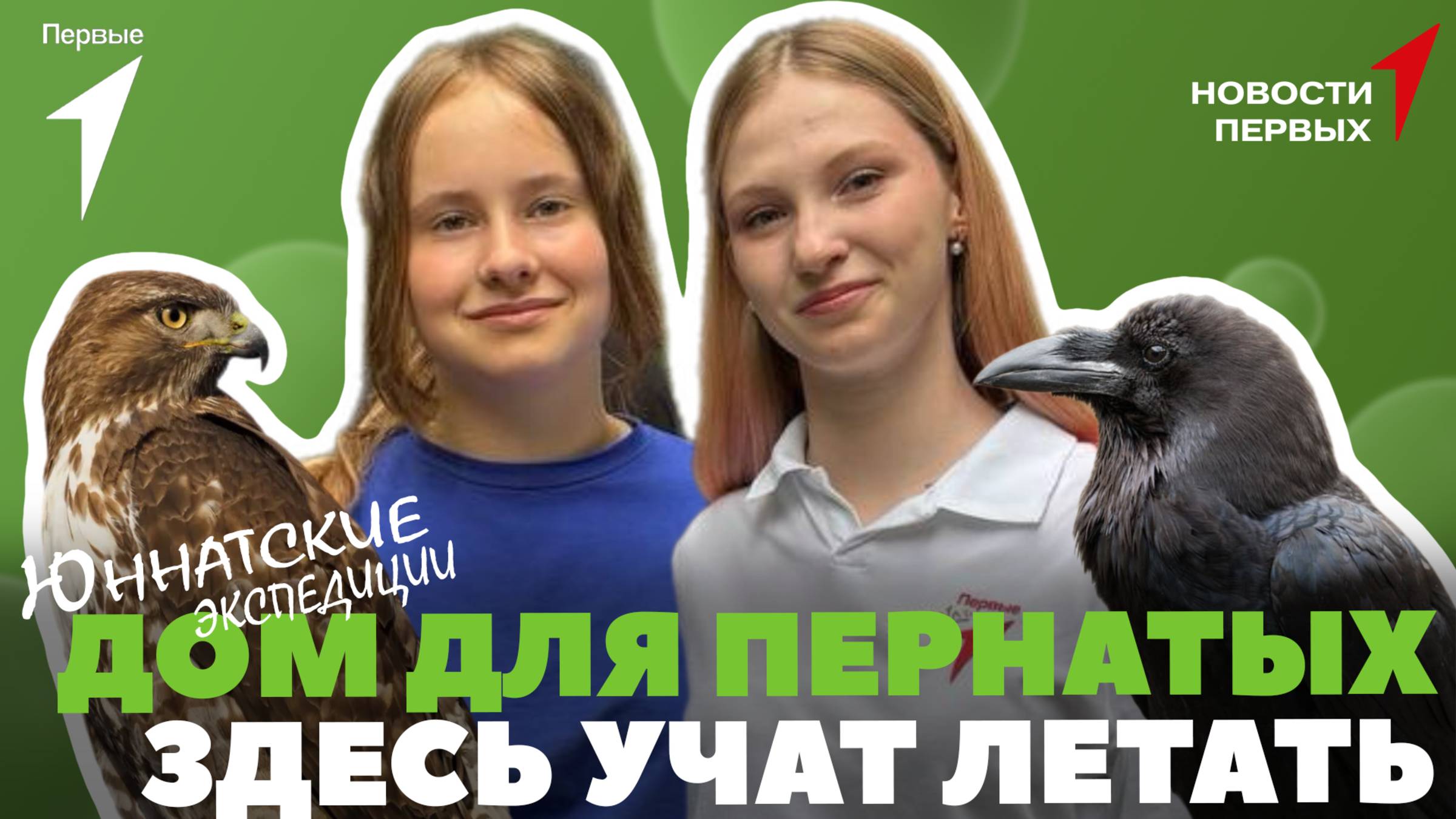 «Новости Первых»: Центр восстановления и адаптации птиц в Сокольниках | «Юннатские экспедиции»