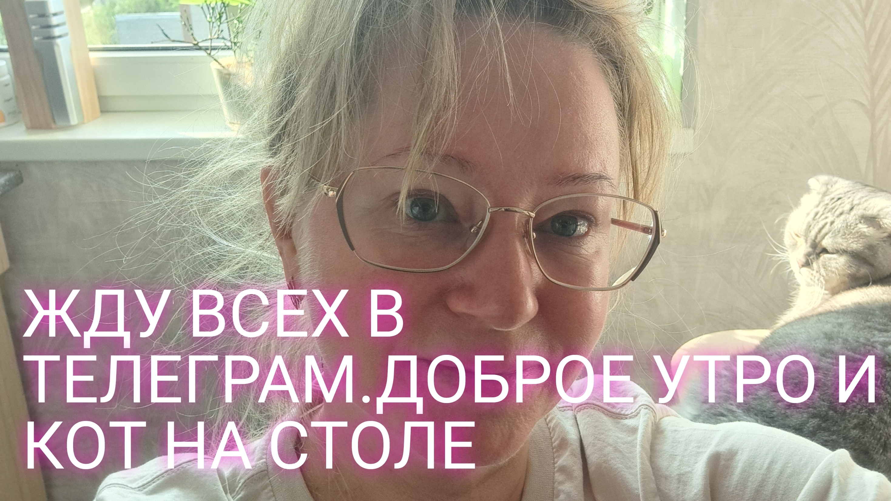 Кот хозяин в доме/ЖДУ всех в ТЕЛЕГРАМ