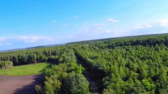 Земляничные Поляны
Пионерское сельское поселение, Рыбновский район, Рязанская область
