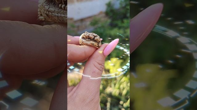 Кольца в форме восьмиклапанного двигателя и мать драконов.