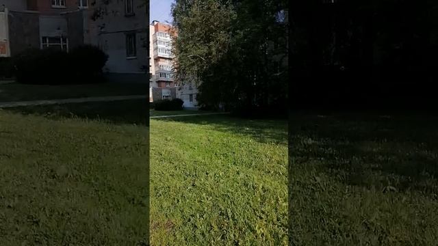 Стой, стой, стой, мы еще не готовы