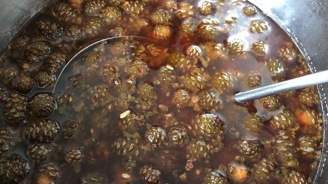 Как я варила варенье из сосновых шишек (рецепт в видео)