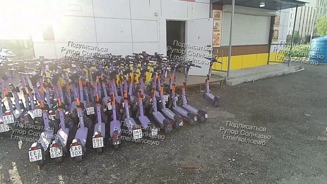 Я нашел их гнездо