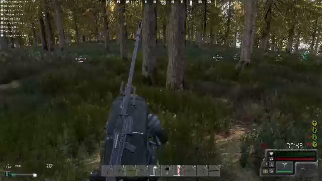 The Whisper | DayZ