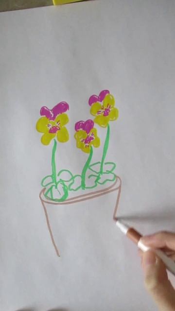pansies