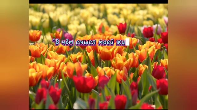 Жизнь- загадка...