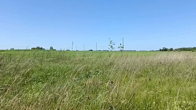 д. Пушкино