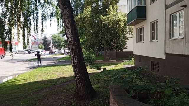 1000008062.mp4
