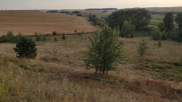 Settlement   On the river Servech   Belarus   Baranovichi district