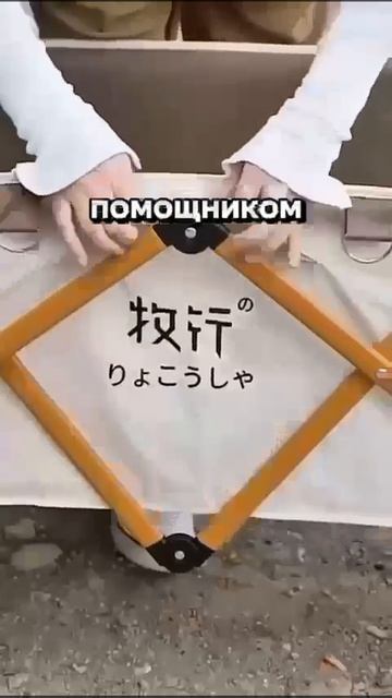 WhatsApp Video 2025-06-06 at 11.17.45