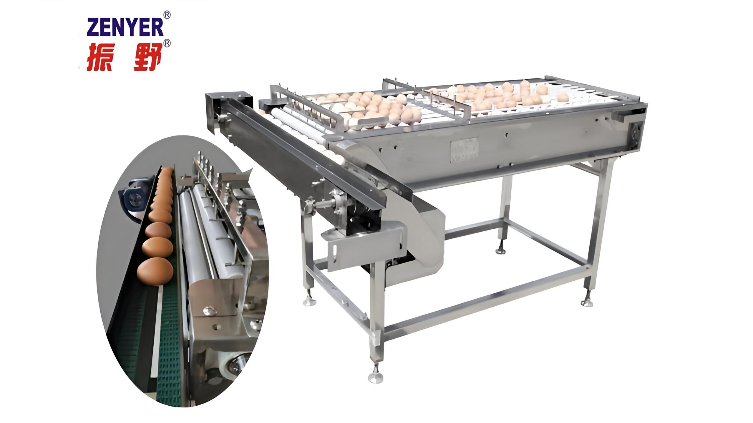 High efficient ZENYER 605G accumulator for egg loading