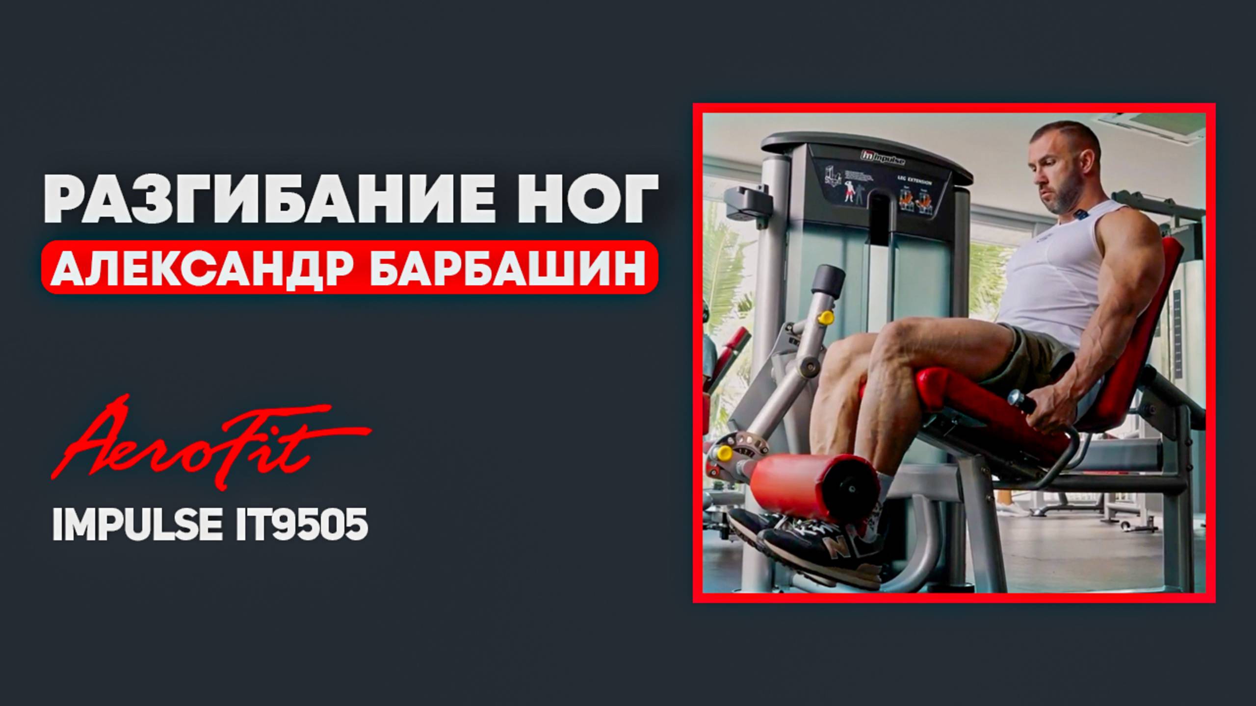Разгибание ног с Александром Барбашиным Impulse IT9505