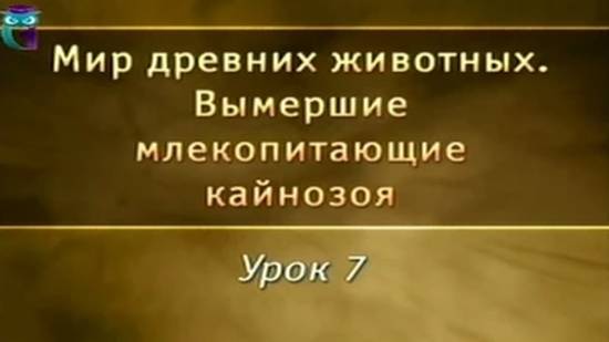 Вымершие млекопитающие # 7. Древние непарнокопытные