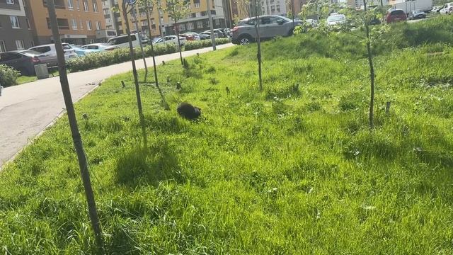 Один день из моей жизни