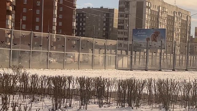 Автобус ЛиАЗ-5292.65 № 5523, маршрут №165, г. Санкт-Петербург