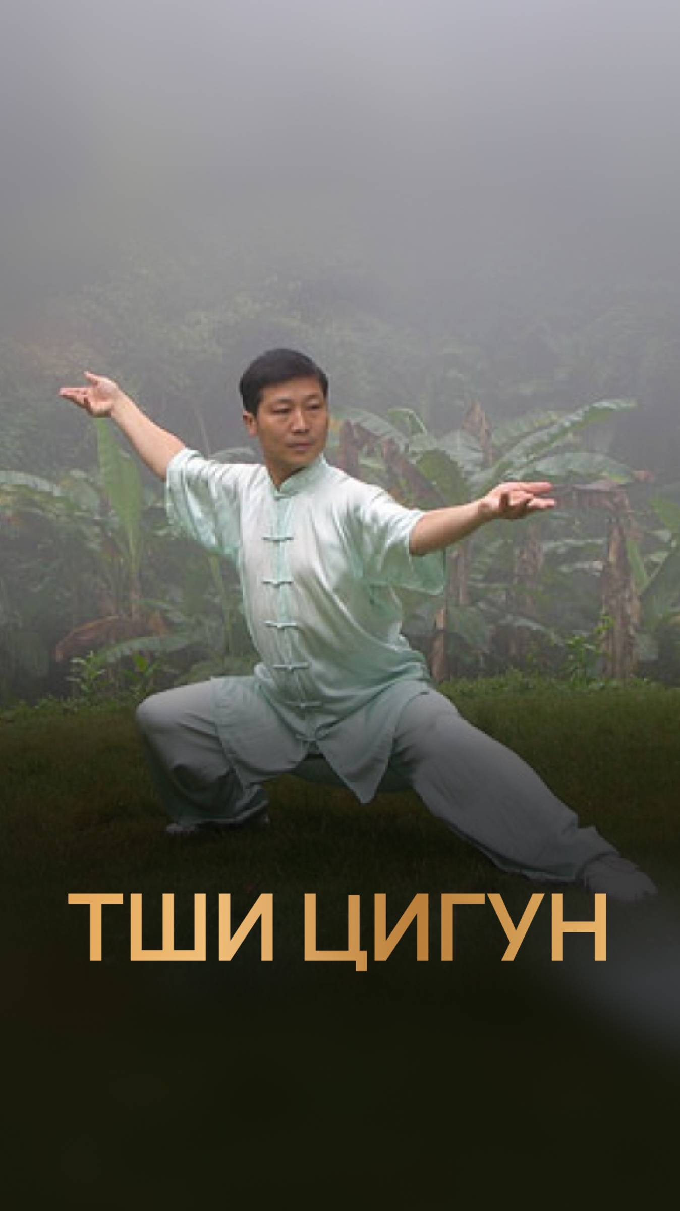 Тши Цигун