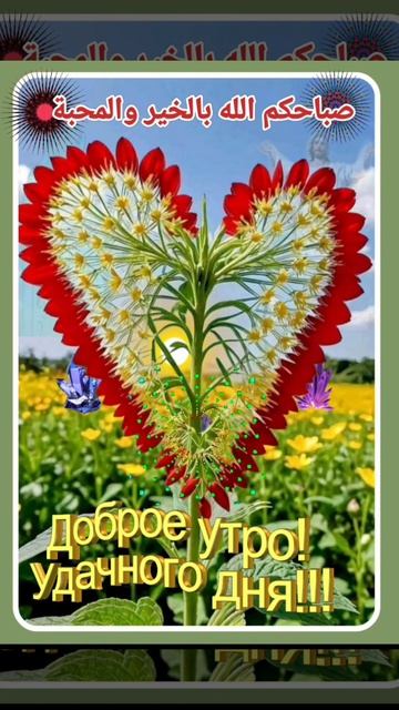 Good morning11.06..mp4
