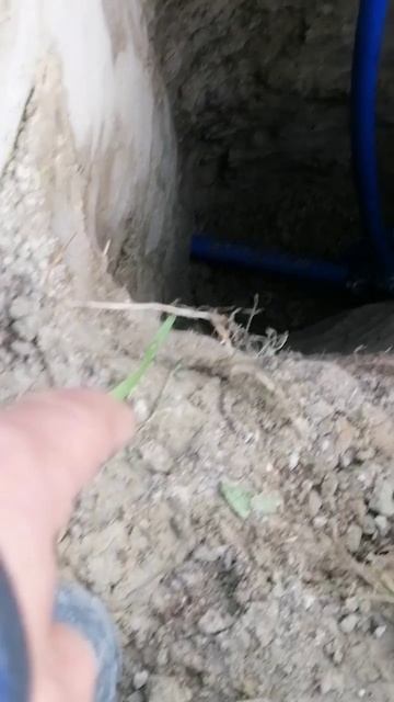 Скважина в колодце СПб🚿 Ромашки.Дебет скважины 1.800 тонны /в час🤗