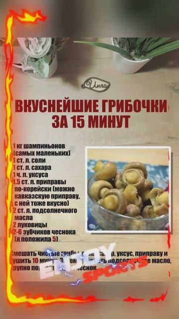 закрутки грибов
