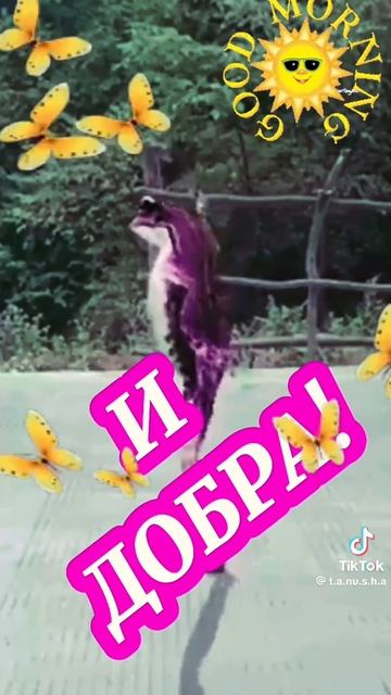 VID-20250610-WA0092.mp4