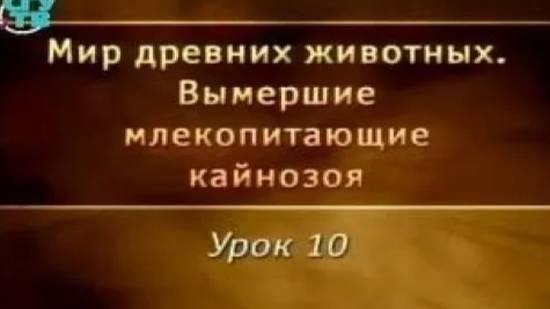 Вымершие млекопитающие # 10. Древние парнокопытные
