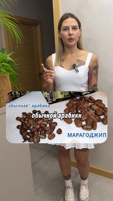 Что такое слоновий кофе?