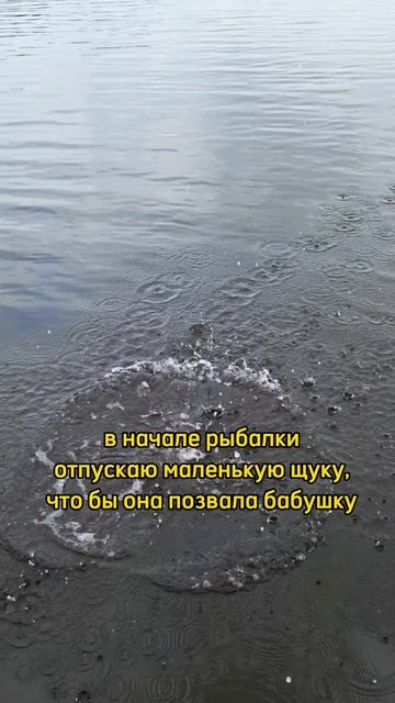 и так каждый раз #отдых #рыбалка
