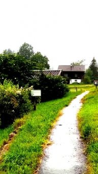 Запечатлено в нужную секунду