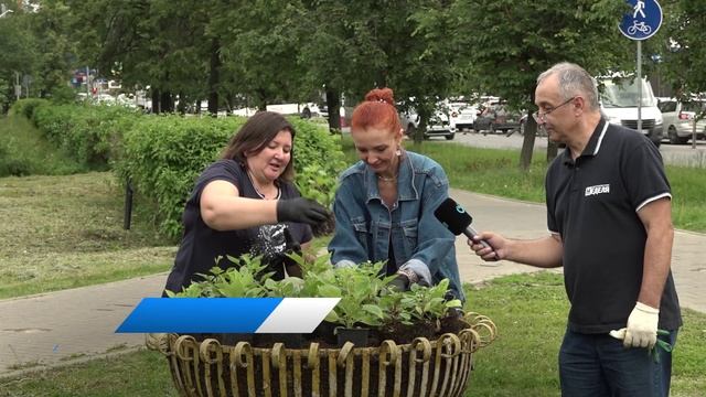 Клумба ОИЦ