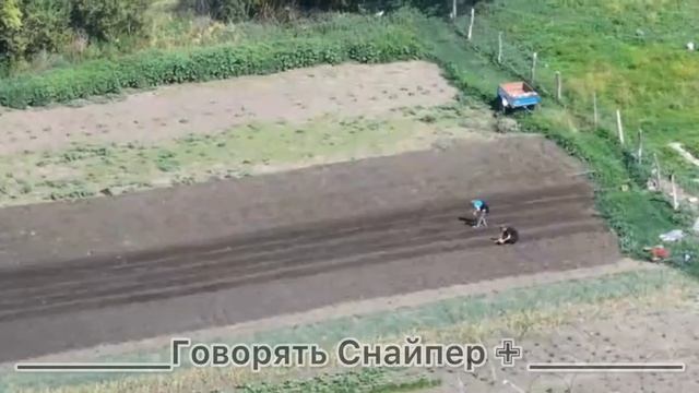 ‼️🇺🇦В Алексеевке жители сажают картошку, пока на соседних улицах идут бои !!!