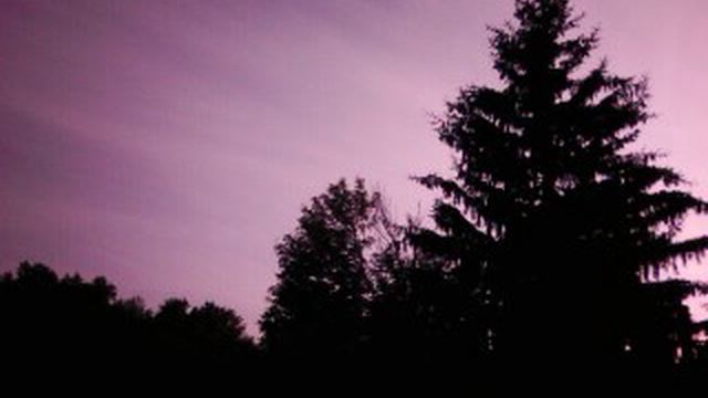 MOV00057