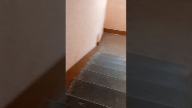 1000001340.mp4