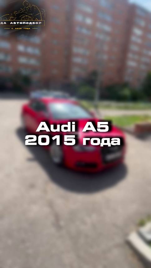 Как вы относитесь к марке Audi?