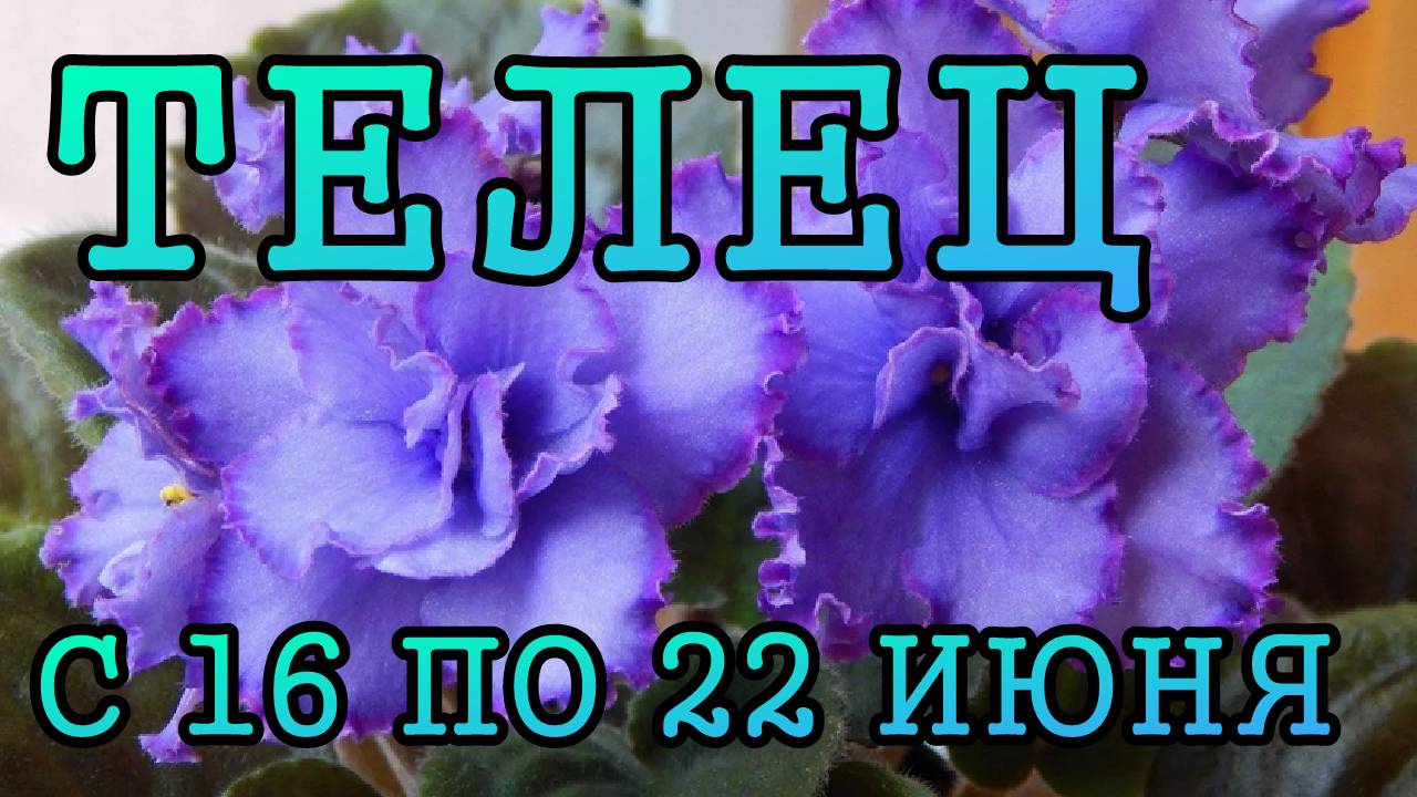 ТЕЛЕЦ таро прогноз на неделю с 16 по 22 ИЮНЯ 2025 года.