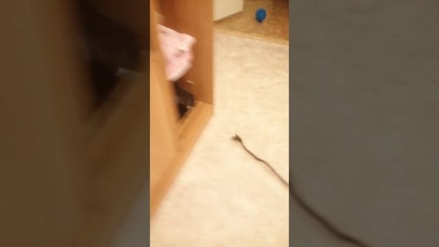 VID_20250611_165710.mp4