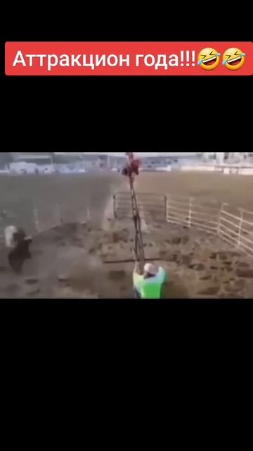 Аттракционы ещё никогда не были такими увлекательными