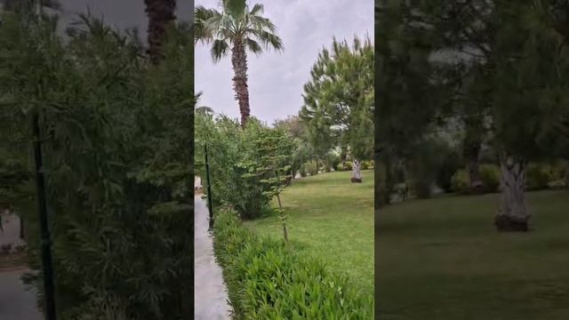 Моя любимая песня моей душе тесно хочется петь и всем рассказать про любовь, добро.... #love #любовь