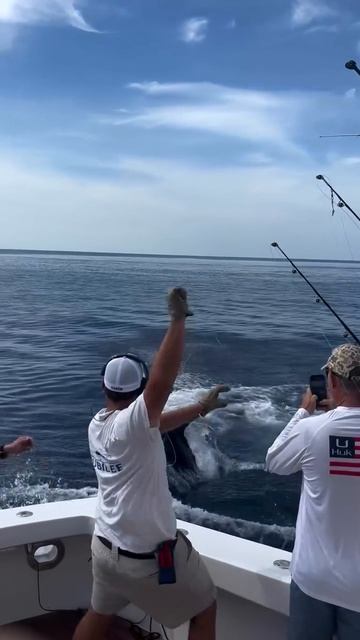 #shorts.mp4