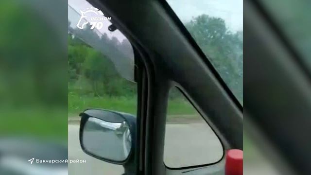 Выпуск новостей 11.06.2025