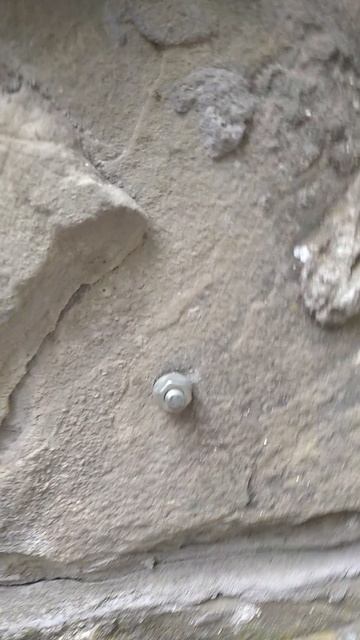 а чо так можно было??? 😂