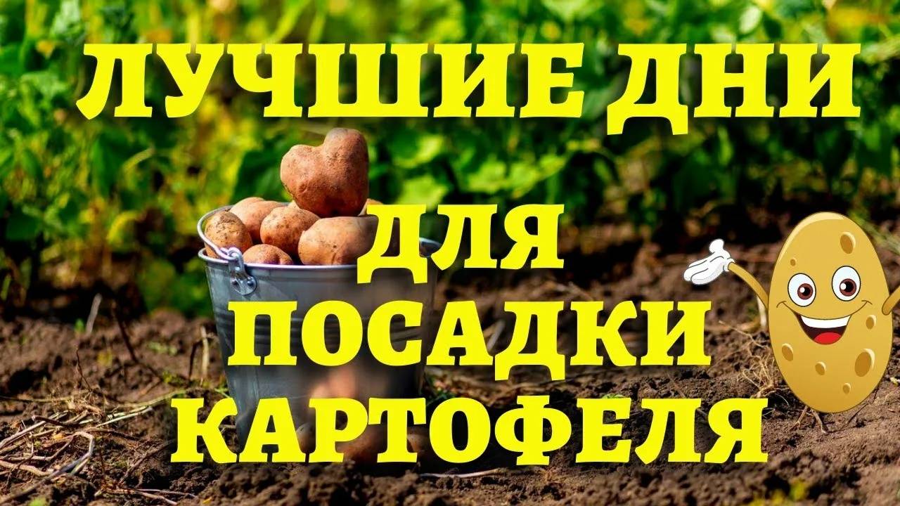 Садовый Агроном . Агроном ОФИГЕВАЕТ от 2 -х вещей - КАК он стал Агрономом и как ПЬЮТ Комбайнеры