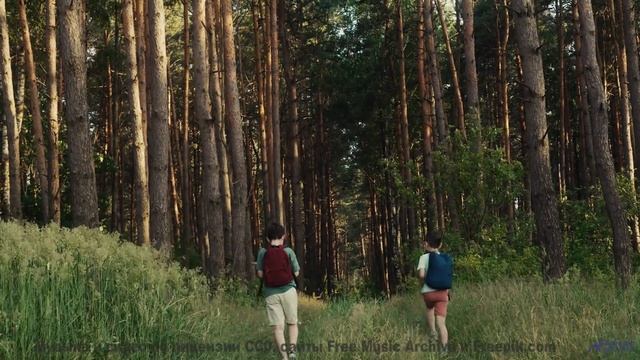 Природа звучит как никогда честно под этот саунд - Get Happy Now -- Podington Bear -- Haplessly Happ