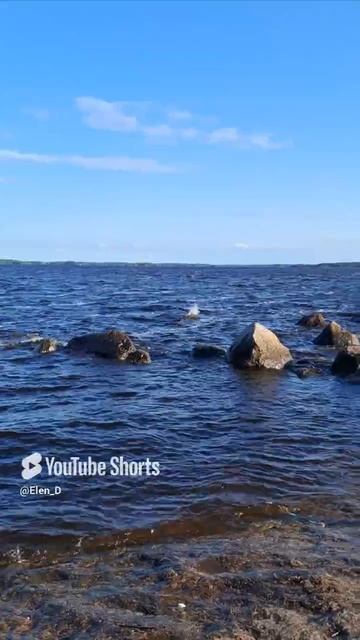 Выборгский залив 07.06.2025.