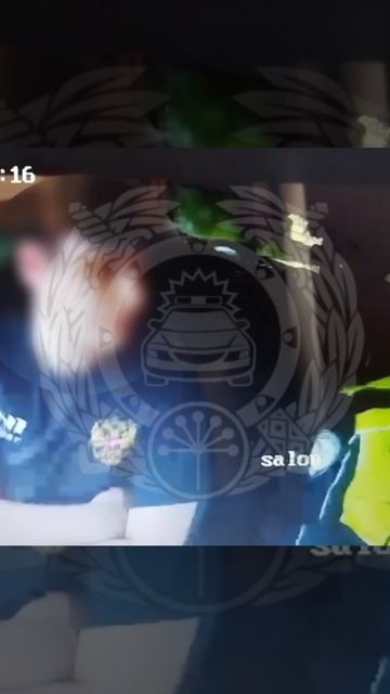 В Башкирии сотрудники ГАИ наказали водителя, прокатившего девушку на капоте