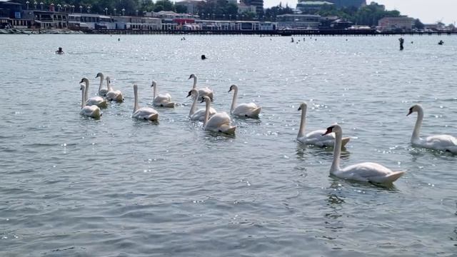 video_2025-06-11_17-07-17 (4)