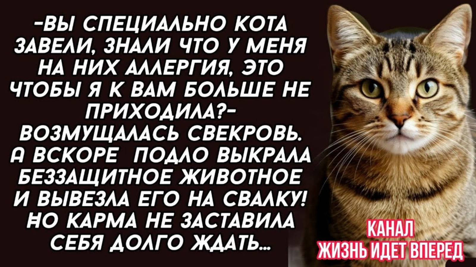 Свекровь  подло выкрала беззащитное животное и вывезла его на свалку! Но карма