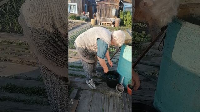 деревня