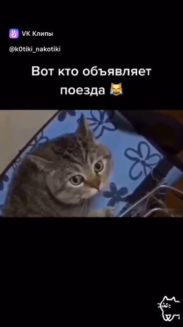 clip-217382812_456243633