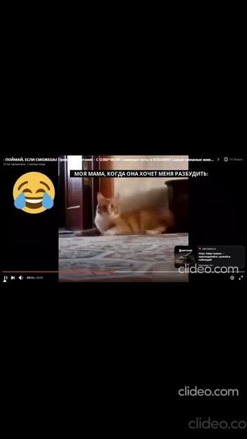 Это я, когда просыпаюсь утром.